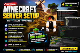 professionally setup your minecraft java server