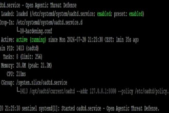 build a production go backend API with tests and deployment