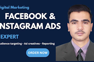 create and manage facebook and instagram ads campaign