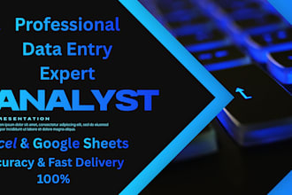 do professional data entry and excel spreadsheet work