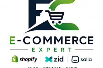 build a shopify store