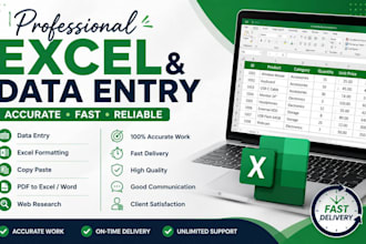 do professional excel data entery, formatting,