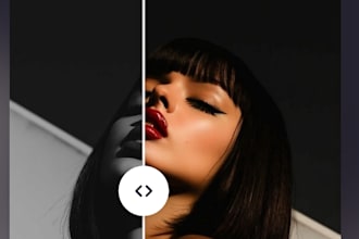 give colors to your black and white photos,pro recoloring