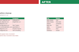 do fast and accurate data entry excel spreadsheet cleanup