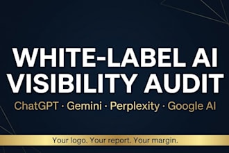 create a white label ai visibility audit report for your agency