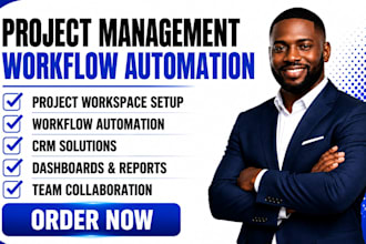 setup project management systems,