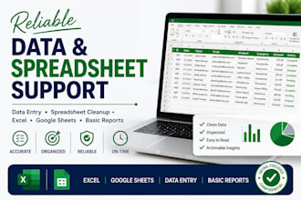 provide professional data and spreadsheet support