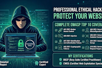 perform web app pentesting and manual owasp top 10 security audit