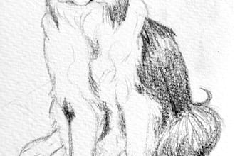 create a traditional pencil pet portrait sketch with quick delivery