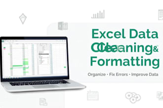clean, organize and format excel spreadsheets