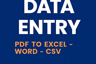 convert pdf to excel and do data entry