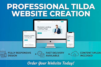 build a modern and responsive tilda website or landing page