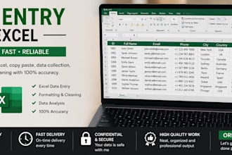 do professional excel data entry and data cleaning