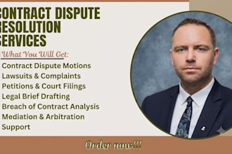 draft motions, petitions and lawsuits for US federal and state courts