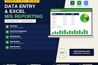 do mis reporting and excel data entry