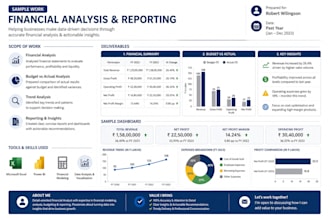 accounting , finance, analysis,reports