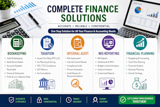 provide bookkeeping taxation internal audit mis reporting and financial plann
