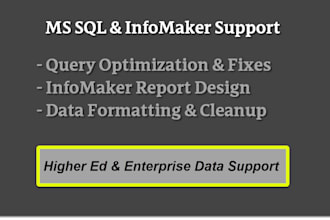 build, fix, or optimize your infomaker reports and ms sql queries