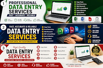 do fast and accurate data entry, copy paste and web research