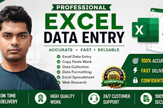 accurate excel  data entry and spreadsheet management