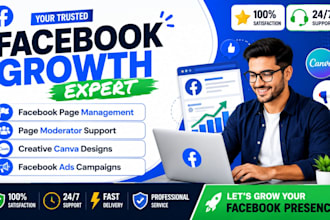 be your facebook page manager, moderator, designer, and run ads