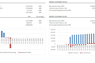 investment feasibility study npv irr dcf financial modeling