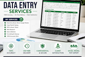 professional data entry, copy paste and PDF conversion