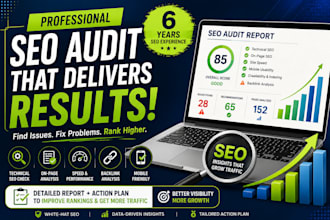make expert SEO audit report with action plan and penalty checks