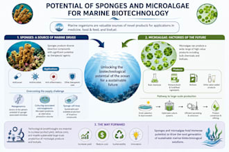 create a publication ready graphical abstract for scientific research