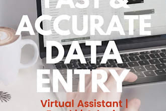 do data entry, excel and virtual admin support