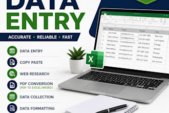 accurate data entry, excel, copy paste and pdf conversion