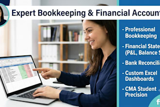 do monthly bookkeeping, excel data entry and accounting