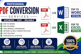 manual pdf to word excel conversion service