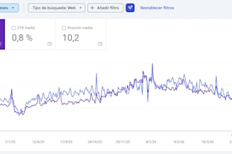 keyword research SEO profesional para posicionar tu web