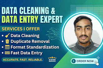 do excel data entry and data cleaning