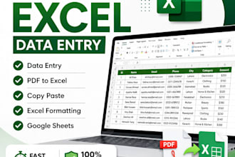 do microsoft excel data entry, copy paste and PDF to excel
