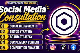 provide social media audit, strategy and consulting for your business growth