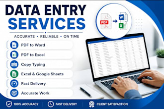 do accurate  data entry, excel work, copy typing, error free