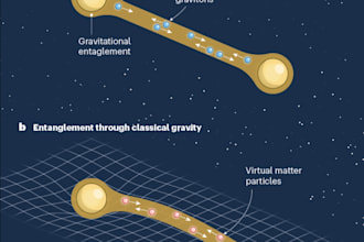teach you science of elementary, middle and high school