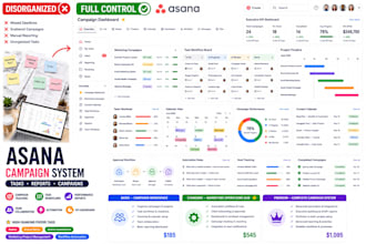organize asana task workflows reporting and campaign tracking