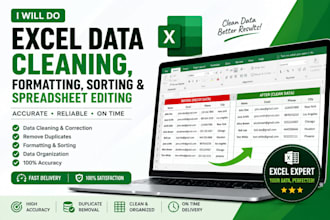 do excel data cleaning, formatting, sorting and spreadsheet editing