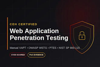 perform web application penetration testing and vapt report