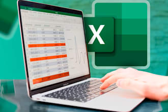 make do excel data entry, formulas, dashboards, reports