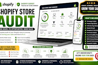 do a complete shopify store audit to find issues hurting your sales