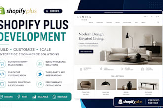 develop shopify plus store, checkout and custom features
