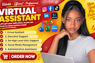 executive virtual assistant ghl virtual assistant email instagram assistant