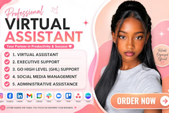 executive virtual assistant ghl virtual assistant email instagram assistant