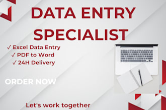 do accurate excel, word, data entry, pdf to word conversion