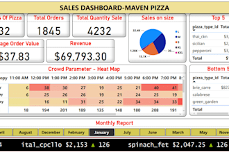 design professional excel dashboards and automated reports
