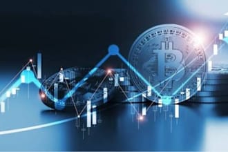 vhelp you set up a bitcoin wallet and learn crypto step by step